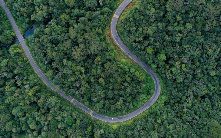 Việt Nam nhận gần 72 triệu USD để chi trả cho nỗ lực giảm phát thải từ rừng - Ảnh 2.