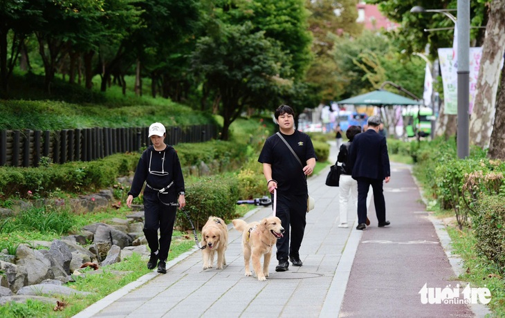 Tiết trời thu Seoul ủng hộ Vietnam Phở Festival - Ảnh 4.