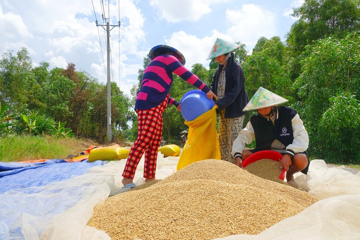 Tỉ phú đồng lúa 500ha - Ảnh 3.