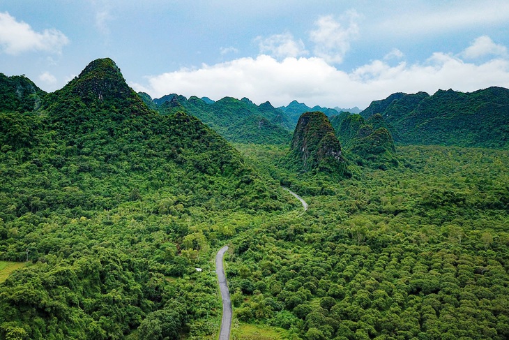 Bộ trưởng Lê Minh Hoan: Tư duy lại với rừng sau cú sốc thiên tai bão Yagi  - Ảnh 2.