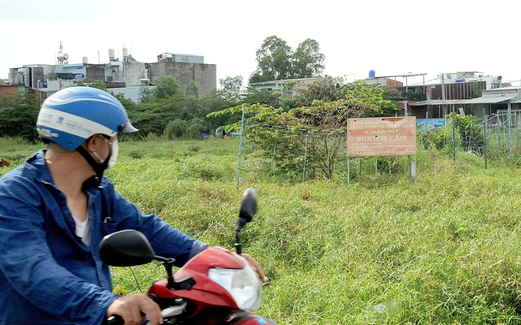 Quốc hội siết chặt phân lô bán nền từ đất nông nghiệp: Hạn chế đầu cơ, bảo vệ đất đai - Ảnh 2.