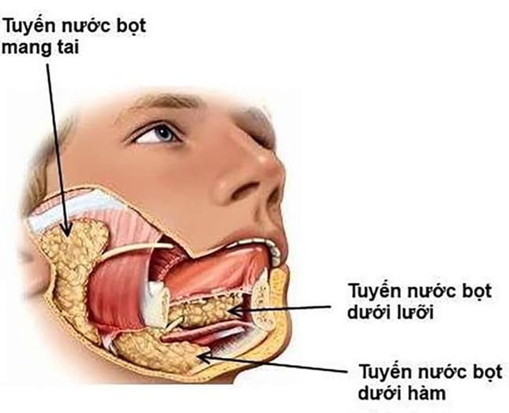 Những thay đổi về nước bọt: Dấu hiệu tình trạng sức khỏe - Ảnh 1.