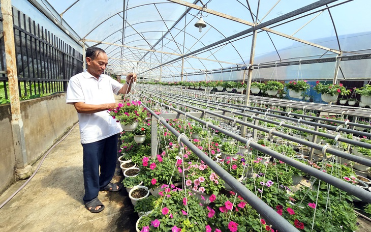Thí điểm đất nông nghiệp làm nhà ở thương mại: Lo 'giật cục' trong quản lý quy hoạch - Ảnh 3.
