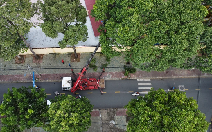 TP.HCM làm công viên 2 héc ta tại Củ Chi, chủ đầu tư hứa 6 tháng xong - Ảnh 6.