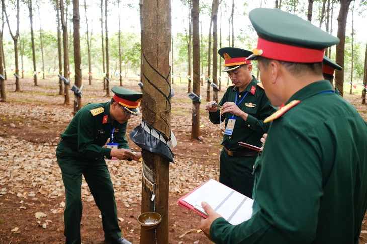 Anh Nguyễn Văn Nam giành giải Bàn tay vàng cạo mủ cao su Binh đoàn 15 - Ảnh 1.