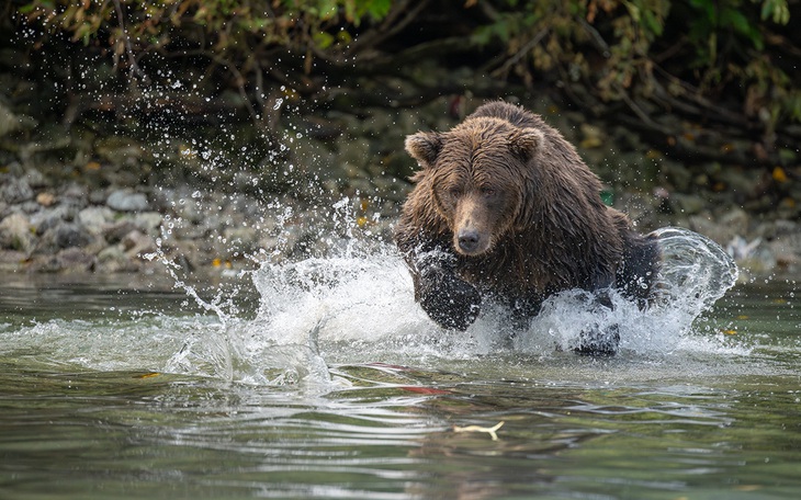 Nhiếp ảnh gia Việt Nam đoạt giải thưởng Nhiếp ảnh trắng đen quốc tế 2025 - Ảnh 12.