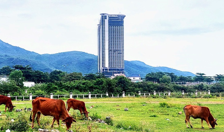 Dự án vi phạm tại đảo Hòn Rùa, lấp vịnh Nha Trang được lờ việc thu hồi đất  - Ảnh 6.