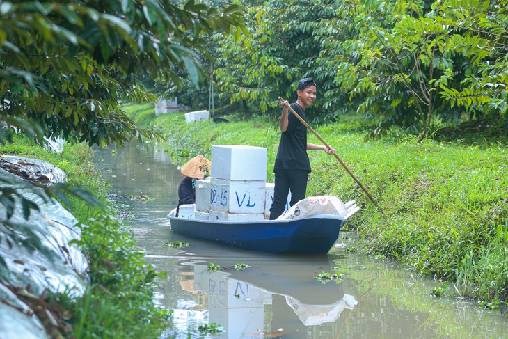 Thuế VAT phân bón: Trăn trở của nông dân miền Tây - Ảnh 2.