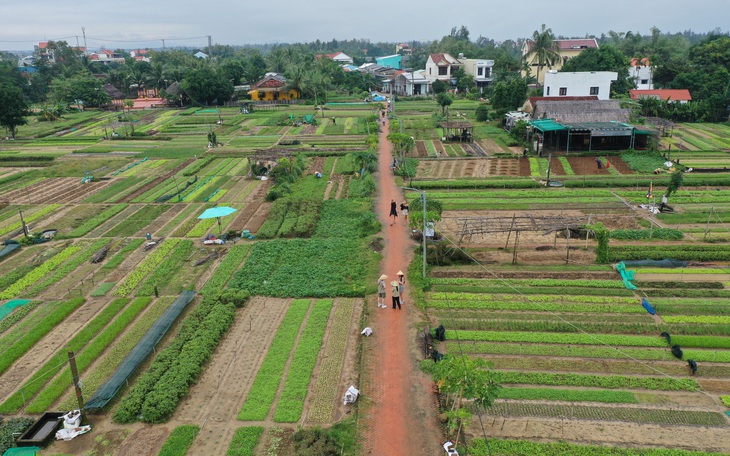 Du Xuân với màu xanh ngắt, thơm ngát, tiết trời trong lành ở làng du lịch tốt nhất năm 2024 - Ảnh 2.