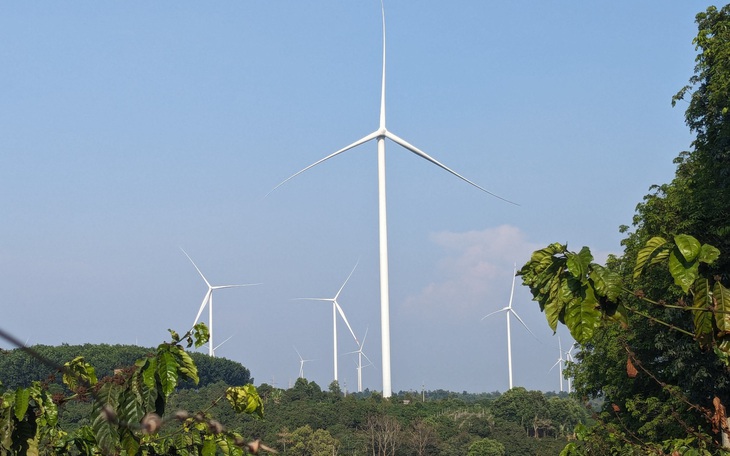 Thanh tra Chính phủ đề nghị kiểm điểm, xử lý vi phạm tại dự án nhiệt điện An Khánh, Na Dương II - Ảnh 2.