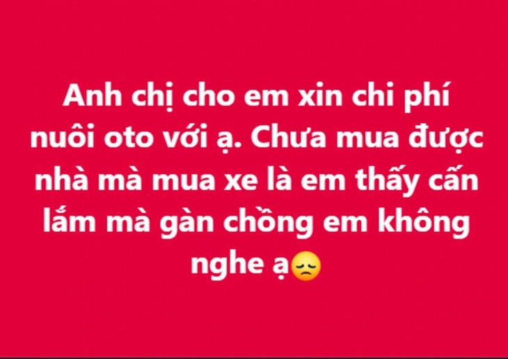 'Chưa mua được nhà, chồng đã suốt ngày đòi mua xe ô tô' - Ảnh 1.