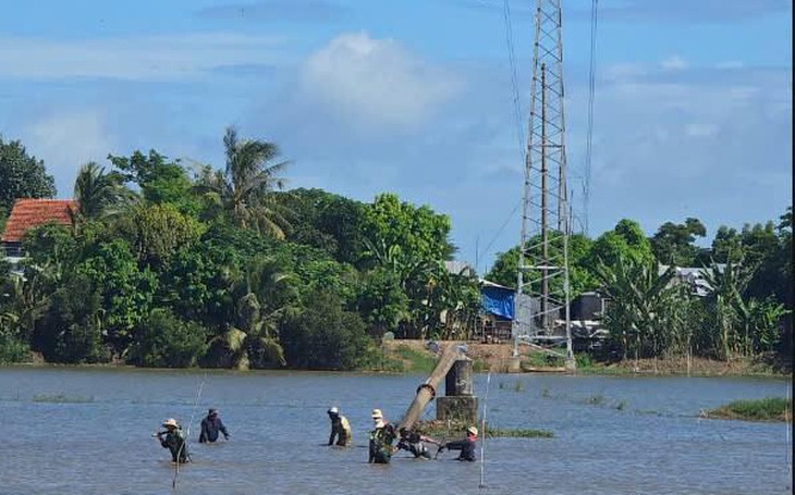 An Giang mang cá tra, mật thốt nốt... đến TP.HCM để quảng bá, 'trải  chiếu' mời gọi đầu tư - Ảnh 2.