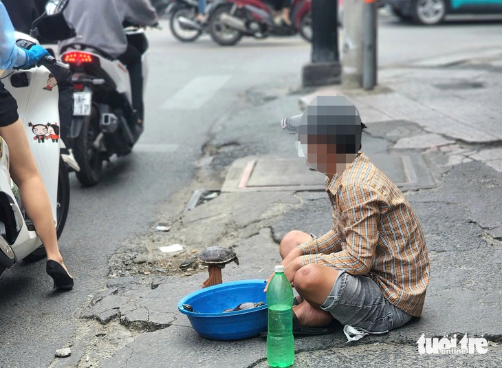 Công khai chào bán 11 con rùa quý hiếm tại vỉa hè đường Tân Kỳ Tân Quý - Ảnh 2.