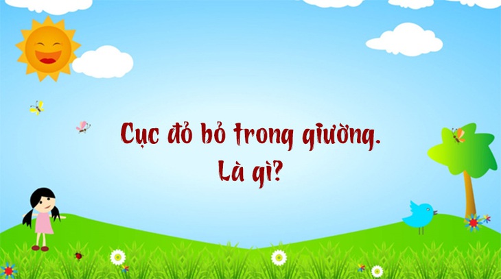 Tỉnh nào nước ta được mệnh danh là 'đất võ trời văn'? - Ảnh 2.