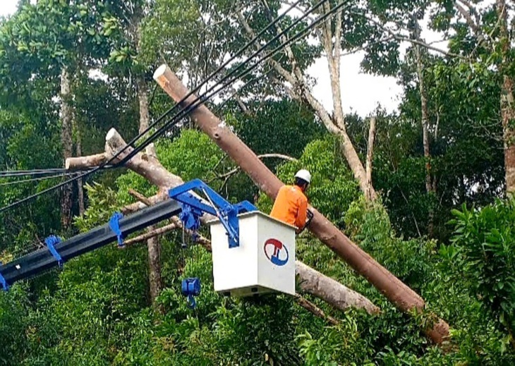 Nhiều cây xanh to ven đường ở Phú Quốc đổ ngã do gió mạnh - Ảnh 1.