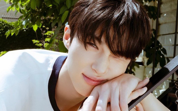 Mơ thấy nam thần Byeon Woo Seok, đôi vợ chồng trúng số độc đắc - Ảnh 4.