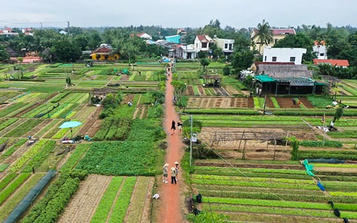 Suốt ngày mạng xã hội, đó là lối sống quá ngốc nghếch - Ảnh 6.