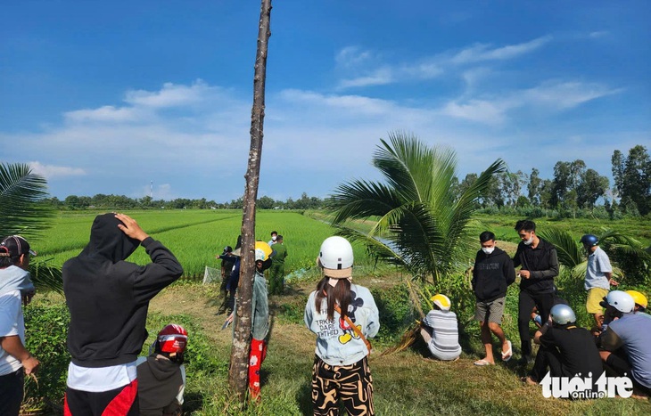 Nghi dùng điện bẫy chuột trên ruộng lúa-tôm làm chết người - Ảnh 2.