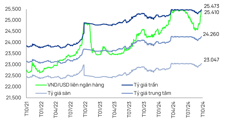 Giá USD tự do trong nước biến động 'lạ' ngày ông Trump thắng cử - Ảnh 3.