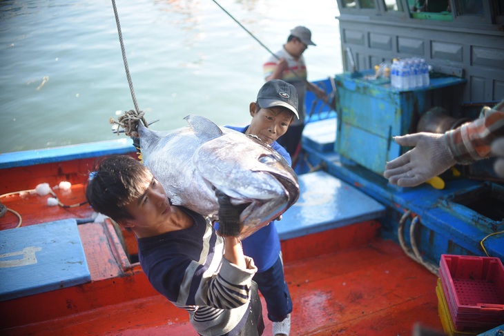 Xứ sở giàu có bậc nhất thế giới giảm ăn thịt, tăng ăn tôm hùm, cá ngừ Việt Nam - Ảnh 1.