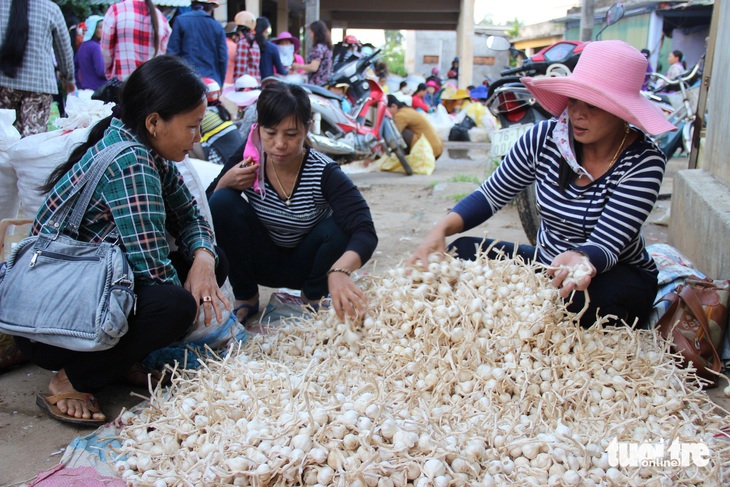 10 sản phẩm OCOP nào được Quảng Ngãi chọn giới thiệu phân phối ở Mỹ? - Ảnh 2.