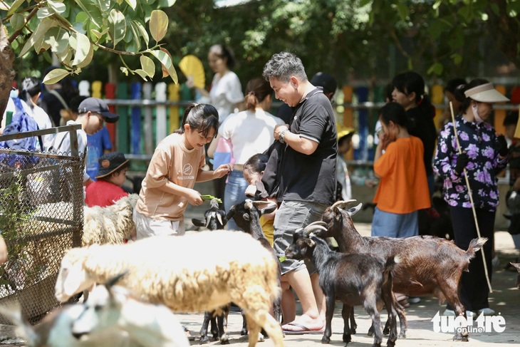 Nguy cơ ngừng hoạt động vì nợ thuế hàng trăm tỉ đồng, Thảo cầm viên Sài Gòn nói gì? - Ảnh 2.