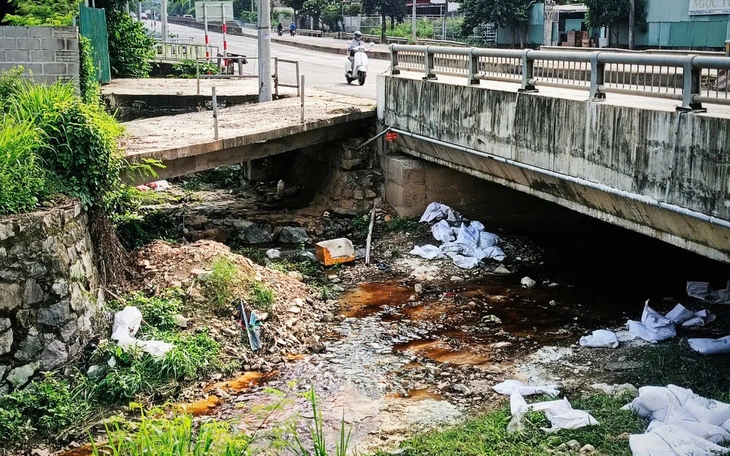 Yêu cầu xử lý dứt điểm nước rỉ từ bãi rác gây ô nhiễm khu dân cư ở Nha Trang- Ảnh 3.