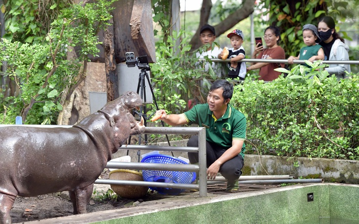 Những ‘chiêu trò’ ghẹo khách của động vật Thảo cầm viên Sài Gòn - Ảnh 3.