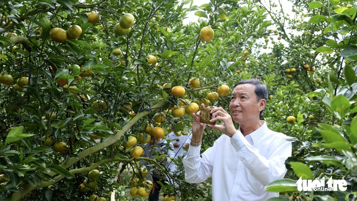 Du lịch miền Tây sông nước lại thiếu người am hiểu về đồng bằng sông nước! - Ảnh 2.