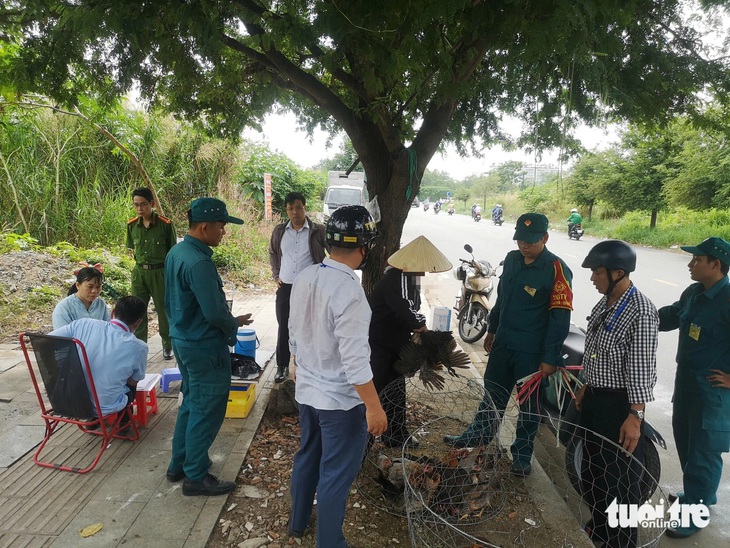 Kiểm tra nơi bán chim trời bị treo ngược sau phản ánh của Tuổi Trẻ - Ảnh 5.