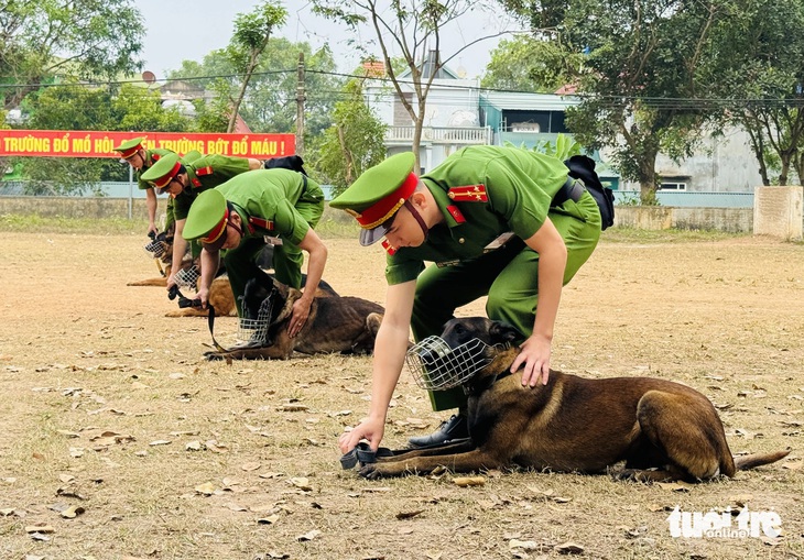 Chó nghiệp vụ - Ảnh 9.