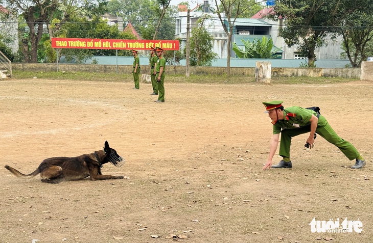 Chó nghiệp vụ - Ảnh 10.