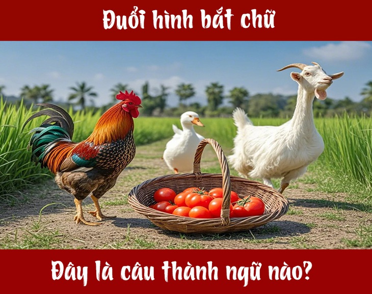 Câu tục ngữ, thành ngữ 'khó nhằn' này là gì? (P83) - Ảnh 1.