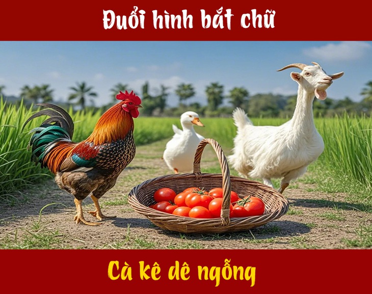 Câu tục ngữ, thành ngữ 'khó nhằn' này là gì? (P78) - Ảnh 1.