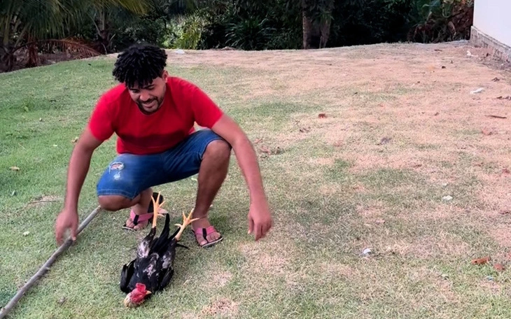 Độc lạ chú cừu con 'diễn viên' gây sốt Trung Quốc: giả chết mỗi khi người mua đến gần - Ảnh 3.