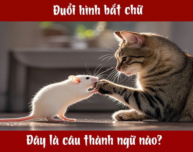 Câu tục ngữ, thành ngữ 'khó nhằn' này là gì? (P79) - Ảnh 1.