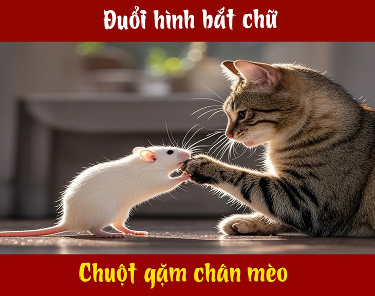 Câu tục ngữ, thành ngữ 'khó nhằn' này là gì? (P79) - Ảnh 1.