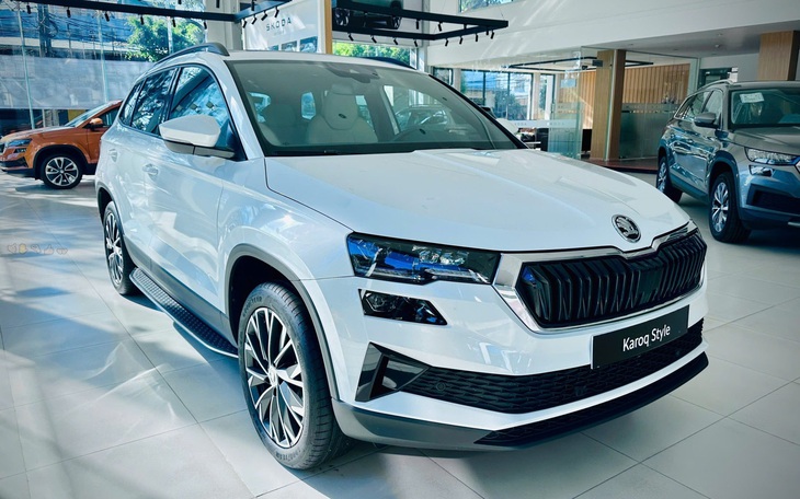 Skoda sắp có chủ lực mới Space vào cuối 2025: SUV điện rộng rãi cho 7 người ngồi, ngang hàng Kodiaq - Ảnh 1.