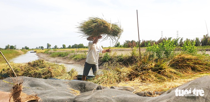 Miền Tây tinh gọn bộ máy, có sở 6-7 phó giám đốc - Ảnh 1.