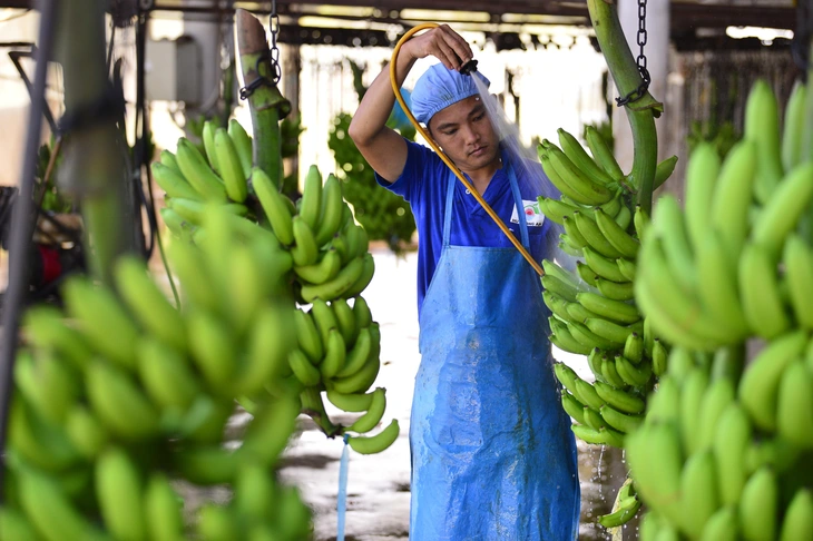 Phó Thủ tướng: 'Giờ đi đâu người ta cũng ca ngợi ta là điểm sáng' - Ảnh 2.