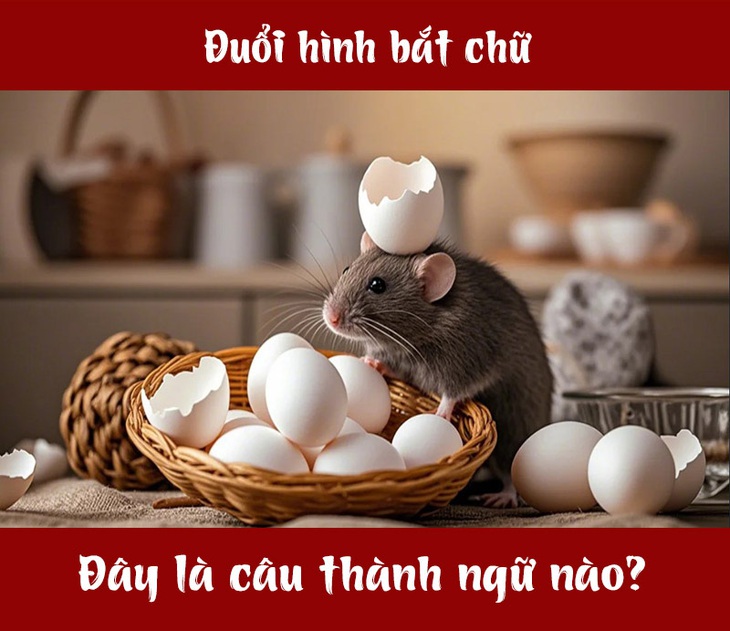 Câu thành ngữ nào liên quan đến chuột và trứng? - Ảnh 1.