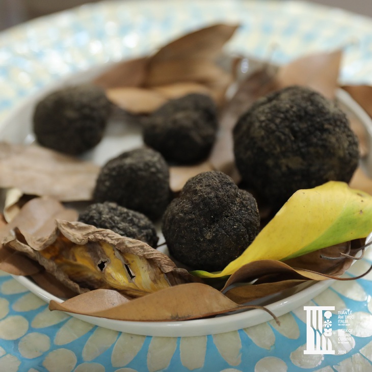 Du ngoạn những cánh rừng nước Ý xem săn tìm ‘ngọc đen’ nấm truffle  - Ảnh 3.