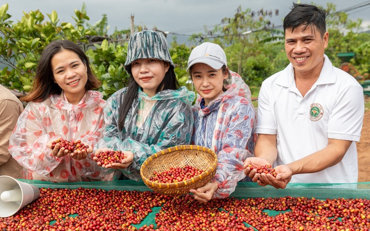 Giá cà phê cao, nông dân ghim hàng chờ giá tăng - Ảnh 2.