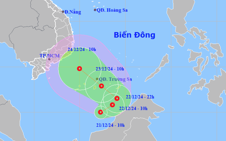 Nhà vườn Phú Yên hối hả phun thuốc sâu cho hoa Tết trước dự báo áp thấp - Ảnh 5.