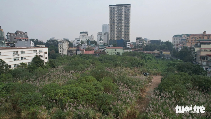 Hiện trạng khu 'đất vàng Cao Xà Lá' vừa được Chủ tịch Hà Nội ra 'tối hậu thư' yêu cầu báo cáo - Ảnh 12.