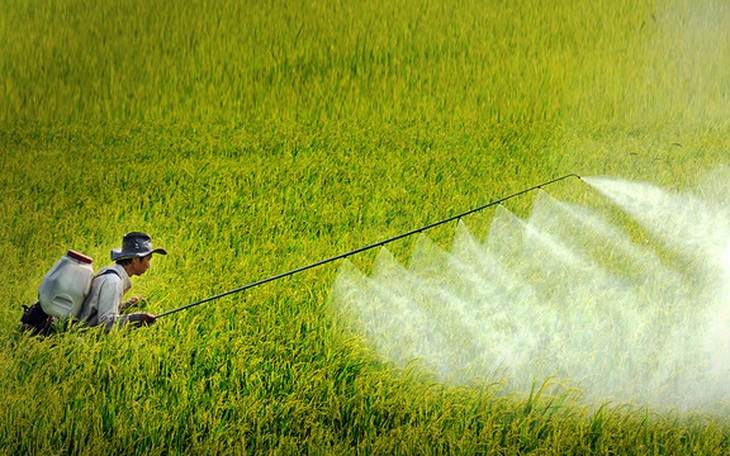 Bổ sung 406 loại thuốc bảo vệ thực vật vào danh mục được phép sử dụng tại Việt Nam - Ảnh 3.