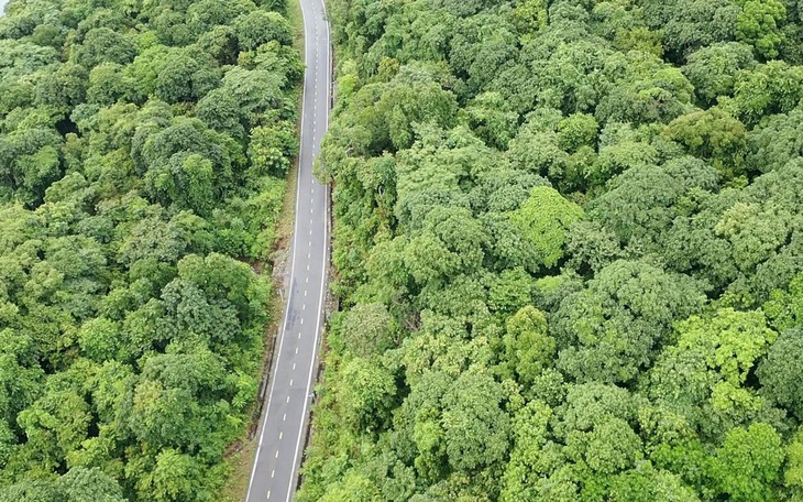 Bao giờ có hạn ngạch phát thải cho nhiệt điện, sắt thép, xi măng? - Ảnh 3.