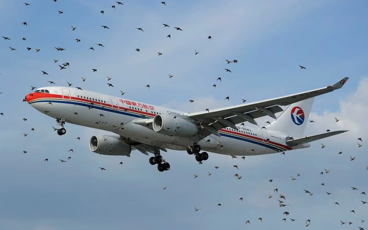 Máy bay American Airlines bốc lửa sau khi đâm phải đàn chim - Ảnh 3.