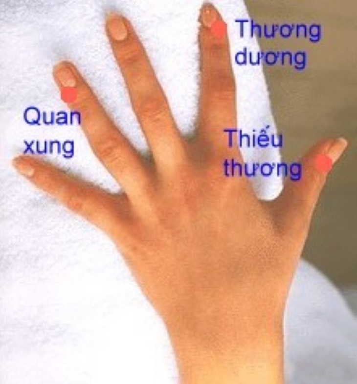 Thảo dược   bấm huyệt chữa viêm họng, tránh biến chứng... thấp khớp, đau tim - Ảnh 2.