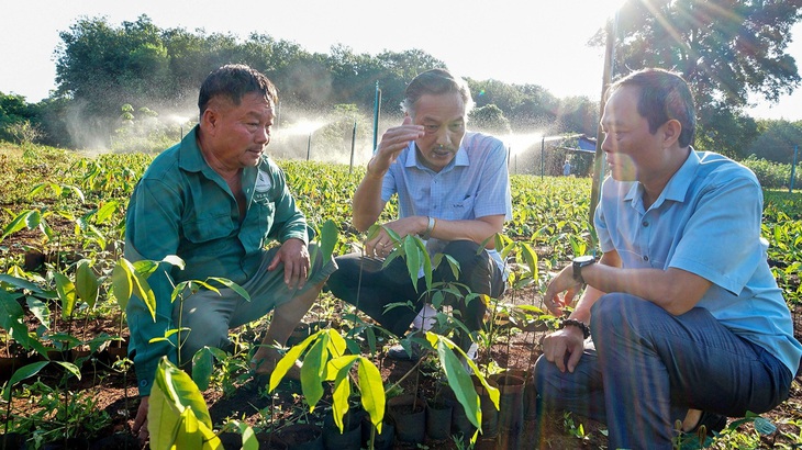 Kỳ tích cao su Việt trên nước bạn Lào - Kỳ 3: Thần tốc phủ xanh cao su Việt trên đất Lào - Ảnh 1.